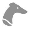 Dogs